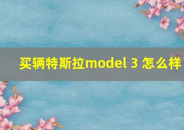 买辆特斯拉model 3 怎么样